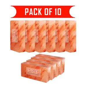 Pink Salt Bricks Pack of 10 - Himalayan Pink Salt Bricks