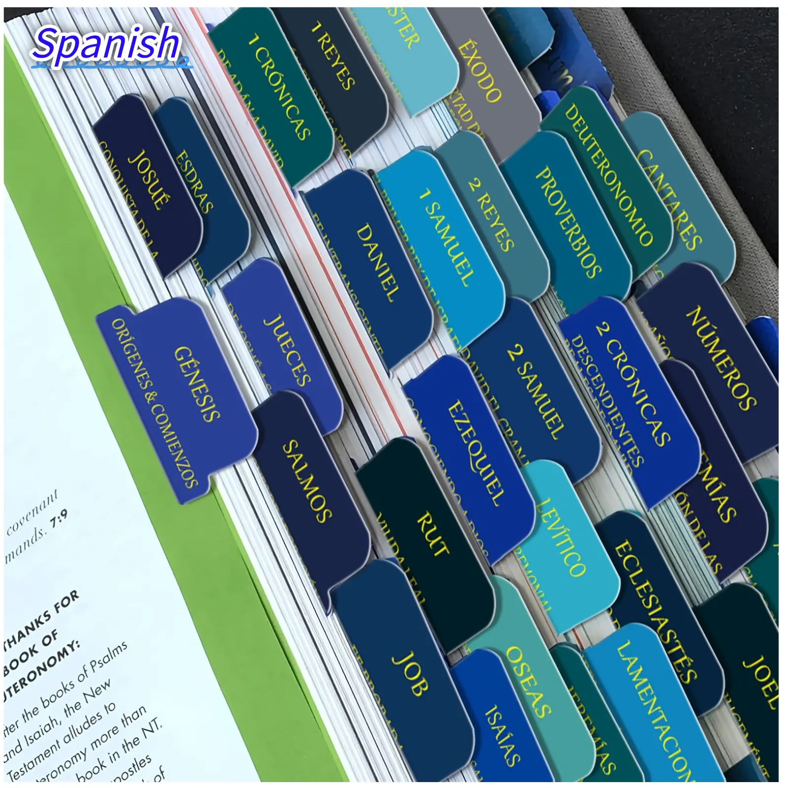 75 Spanish Large Print Bible Tabs, Soul Nourishing Book Summaries, Peel-And-Stick Laminated, Bible Study Supplies, Royal Blue, Adhesive Tabs, Removable Dividers Tabs, Book Accessories, Index Tabs