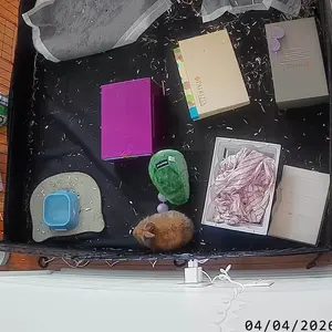 CINMOORE 2.5K Pet/Baby Indoor Security Camera, No Subscription, Person & Pet Detection, PTZ WiFi Baby & Pet Monitor, Full Duplex Two-Way Audio, Color Night Vision, SD Card Local Storage, White (1 Pack)