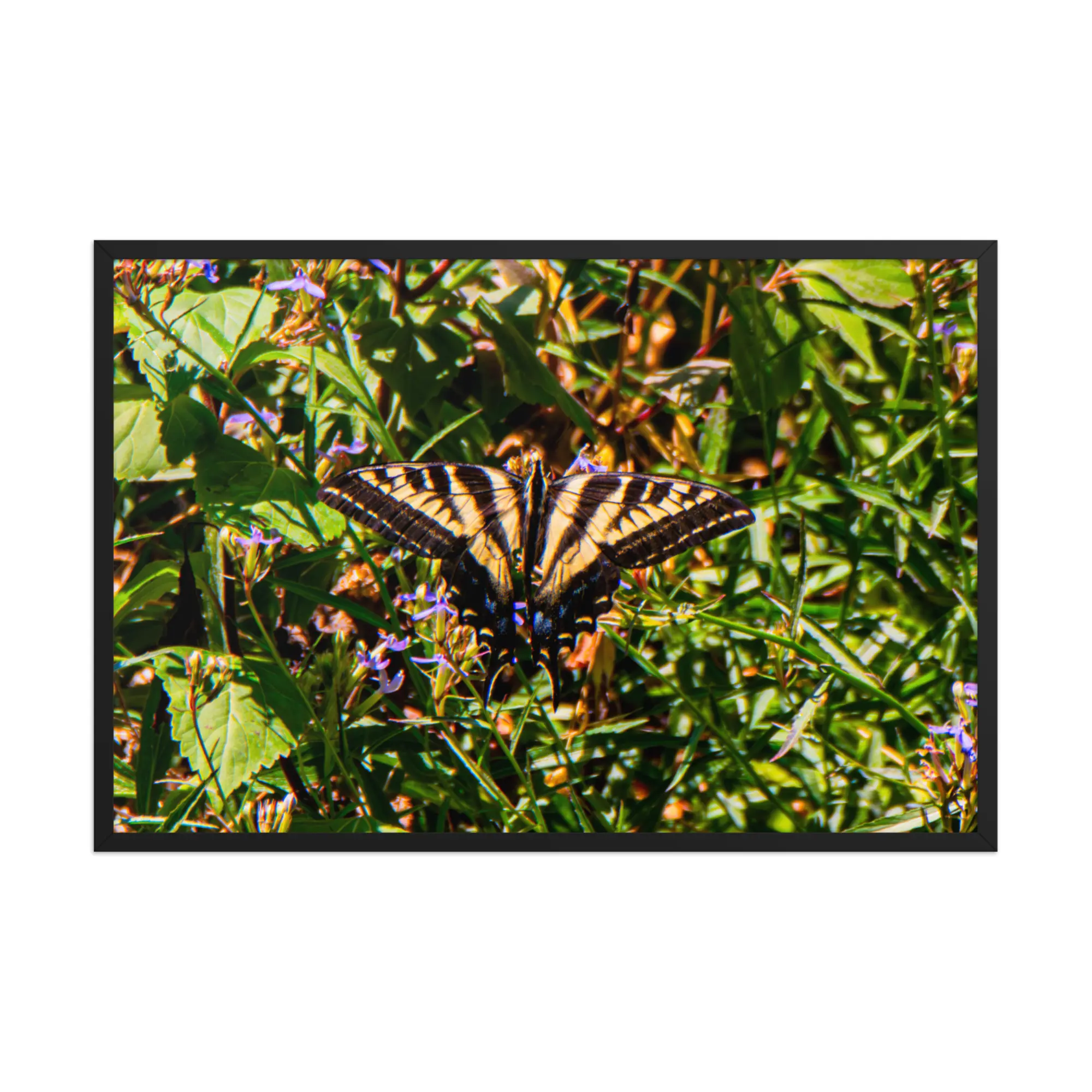 A Moment of Self-Care Framed Fine Art Print - Original Southern California Nature Photography - Premium Ready-to-Hang Wall Art by Eternal Edge Photography