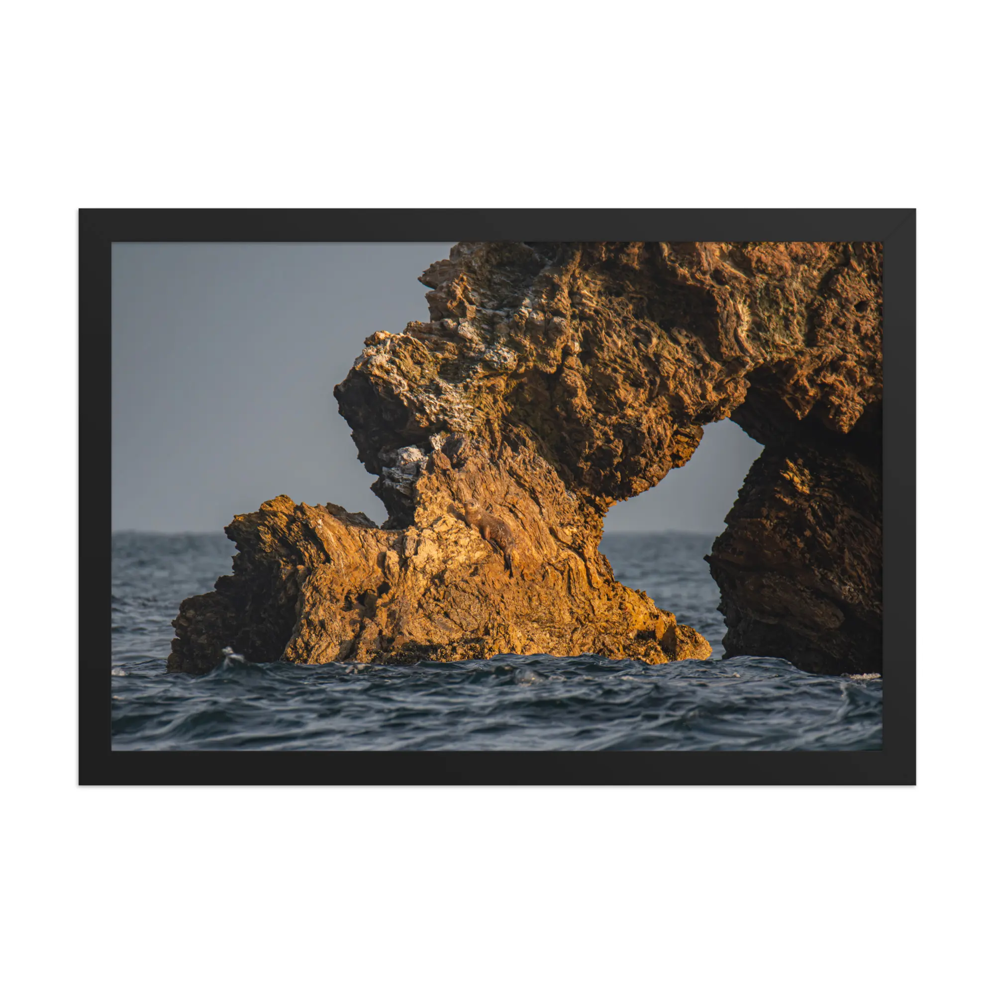 Hidden in Plain Sight Framed Fine Art Print - Original Southern California Nature Photography - Premium Ready-to-Hang Wall Decor for Homes, Offices & Wellness Spaces by Eternal Edge Photography