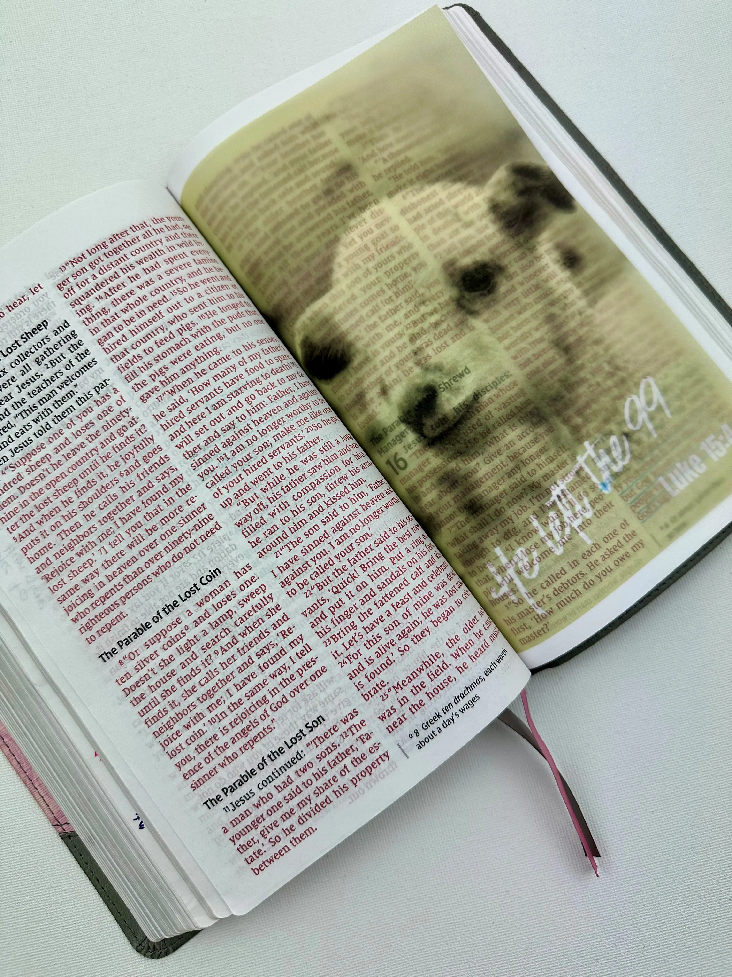 Vellum Bible Tips Inserts with Bible Verses (improved and more see through)