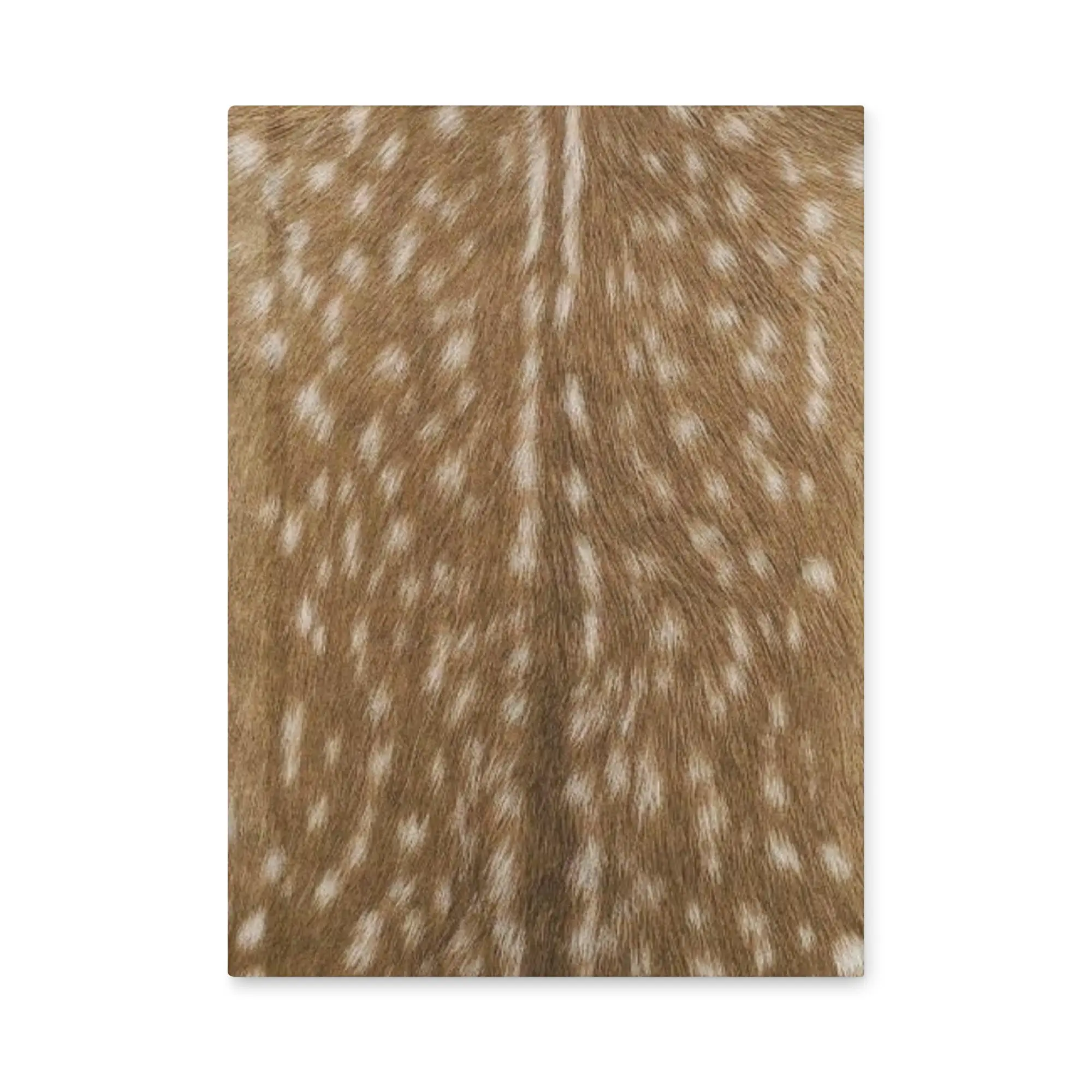 Fawn