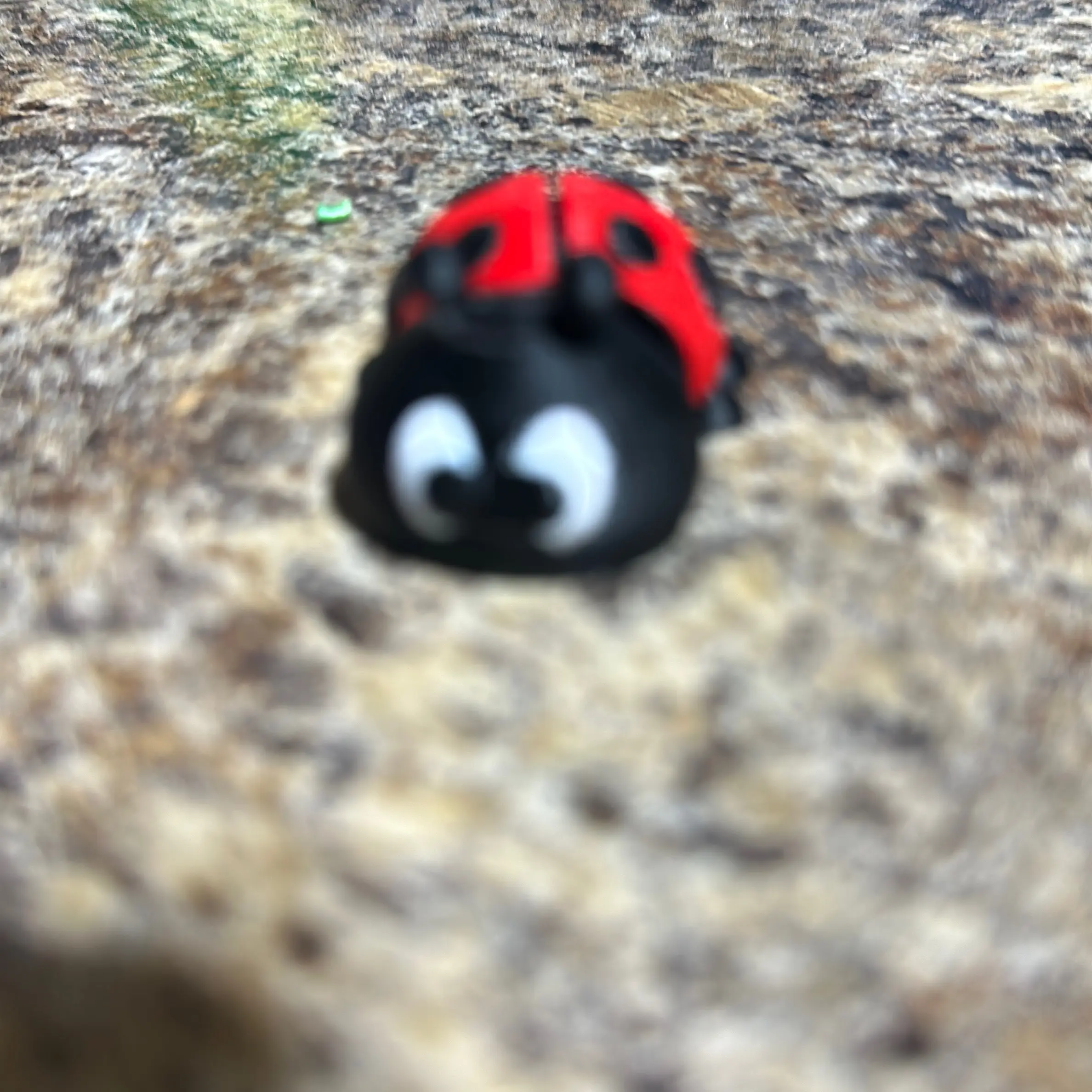 Ladybug articulated