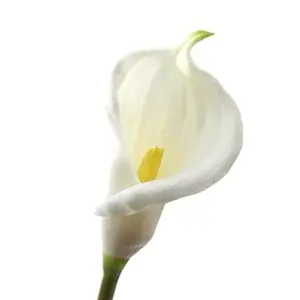 Calla Lilies Artificial Flower, 26'' Long Stem, Realistic Arum Lilies, Wedding Bridal Bouquet, Home Decor, Centerpiece, Decorative Flowers