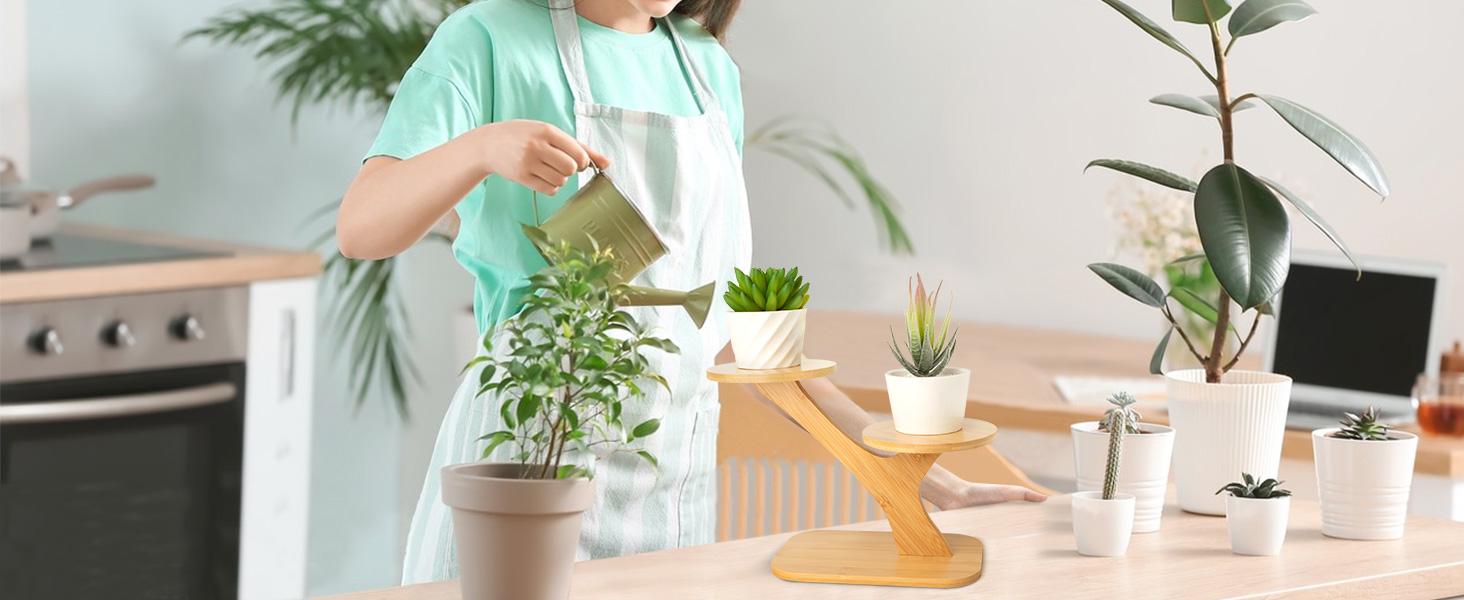 3-Tier Bamboo Succulent Planter Set - Aesthetic Desk Plant Stand Gift with 3 Ceramic Pots