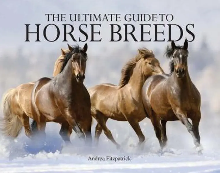 USED Book - Ultimate Guide to Horse Breeds (Paperback Chunkies) by Andrea Fitzpatrick (Paperback) - english