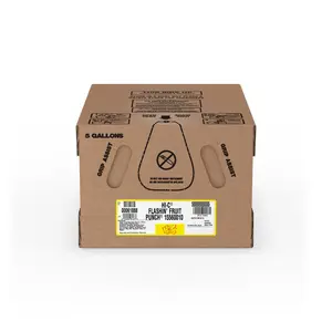 Hi-C Flashin' Fruit Punch 5 Gallon Bag-In-Box Concentrate