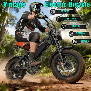 Electric Bike 1200W Peak Motor for Adults, 16''×4.0'' Fat Tire E-Bike, 48V 20Ah Removable Battery, Full Suspension, 28MPH Top Speed, 40–70 Miles Range, LED Headlights & Taillights, All-Terrain Electric Bicycle
