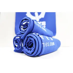 Aksys Games Cooling Towel