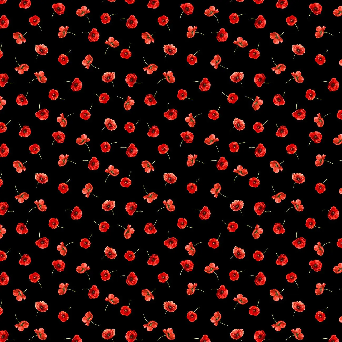 Fabric Timeless Treasures Black Tossed Poppies Poppy Passion by the Quarter Yard CD3809-BLACK