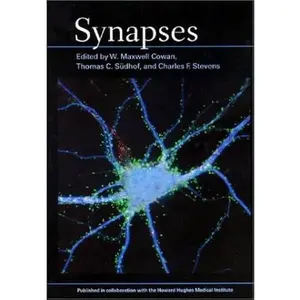 Synapses