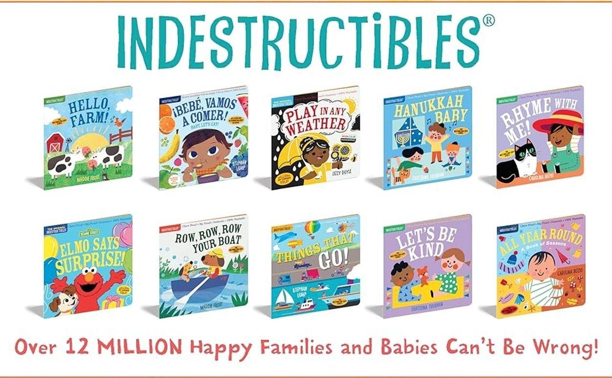 Indestructibles: Beach Baby: Chew Proof · Rip Proof · Nontoxic · 100% Washable (Book for Babies, Newborn Books, Safe to Chew)   Paperback – Picture Book, April 5, 2016
