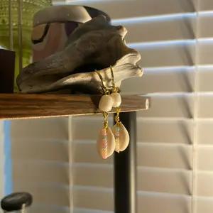 Cowrie Shell Earrings