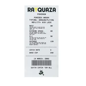 Rayquaza Pokèmon Receipt Rug