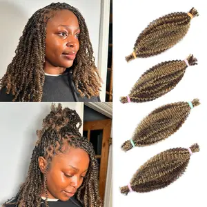 Spring Twist Hair Afro Kinkys Bulk Human Hair Bundles 14 Inch Ombre Kinky Twists Crochet Hair Marley Twist Braiding Hair PreSeparated Springy Afro Twist Hair Dreadlock Extensions 4 Bundles 60g 4/27 #