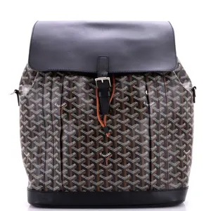 Pre-owned Goyard Canvas Coated, Leather Backpacks Alpin Backpack Coated Canvas MM by Rebag