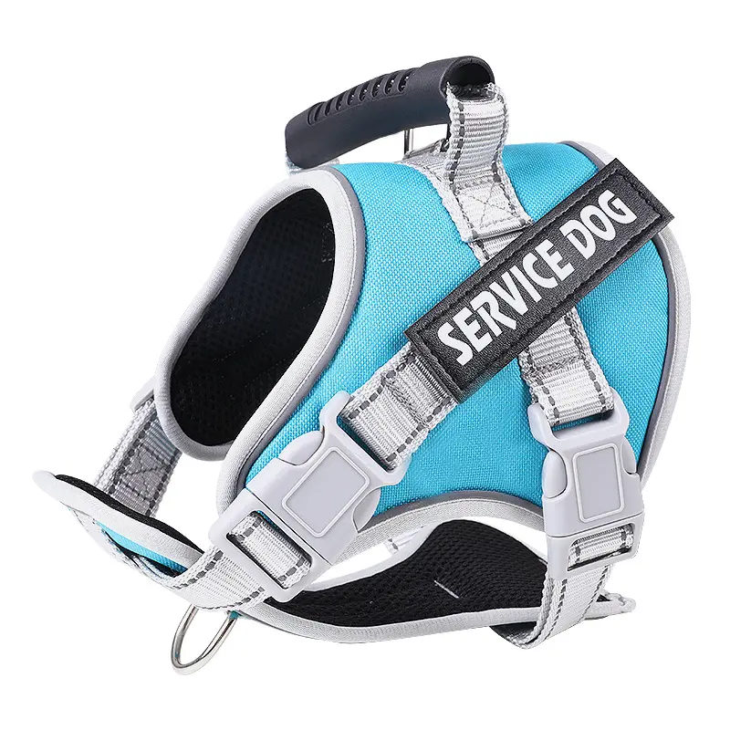 Light Blue [Single Chest and Back]