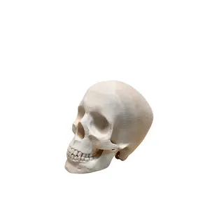 3D Printed Human Skull Replica for Human Anatomy Medical Gift for Nurses and Doctors, Macabre Decor