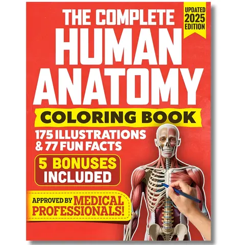 The Complete Human Anatomy Coloring Book: New English Special Edition Paperback (8.5x11in, 175 pages), Anatomically Accurate 175 Illustrations, 77 Fun Facts, Mnemonics, Medical Glossary, 5 Bonuses Included, Screen-Free Study Tool for Nurses, Doctors