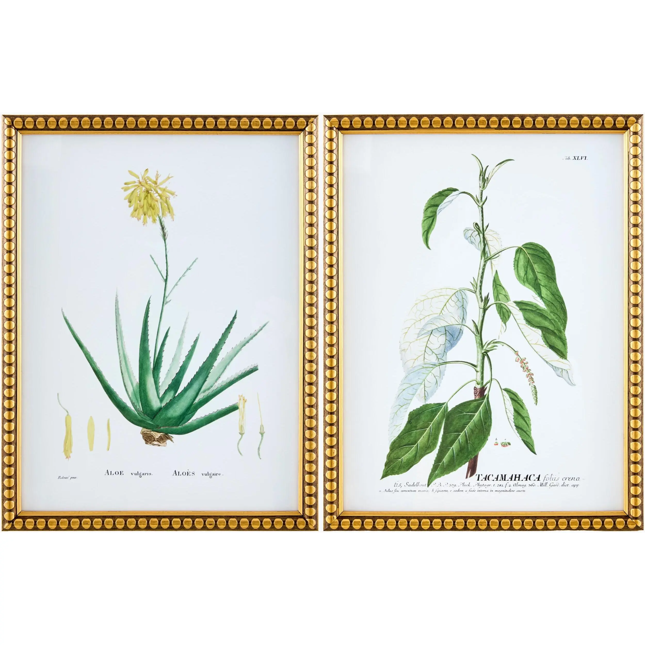 Rich Lime Green Rustic Framed Wall Art for modern gallery walls
