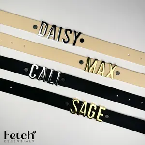 Custom Name Dog Collar - PVC Coated Nylon Webbing - Personalized Pet Name Tag - Adjustable Fit Design for Comfortable Wear - Gold & Silver Jewelry For Pets - Dog & Cat Accessory