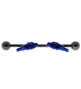 Raven Black & Blue Industrial Barbell