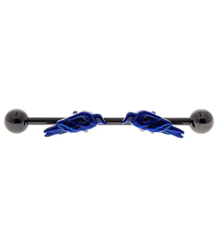 Raven Black & Blue Industrial Barbell