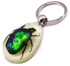 45mm Real Emerald Green Chafer Beetle in Glow in The Dark Lucite Keychain Insect Animal Taxidermy Sample Inside