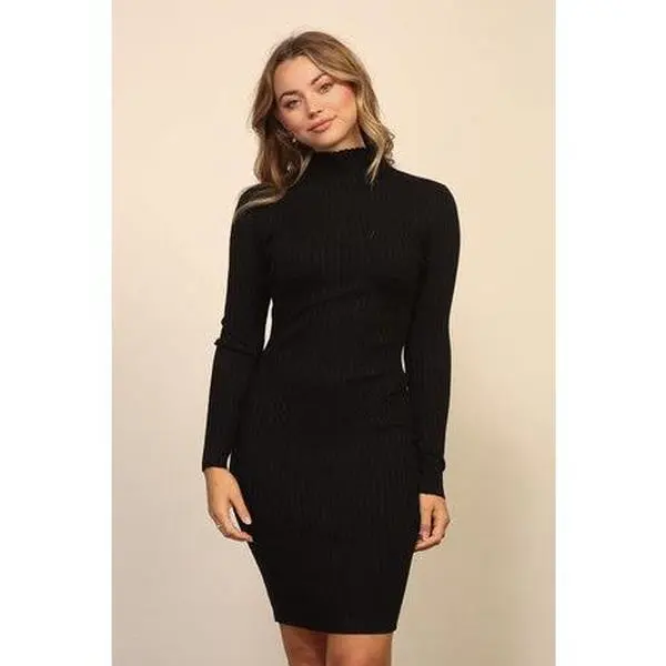 Raina Turtleneck Sweater Dress