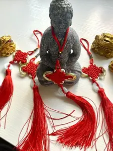 BLESSED Lucky Gold Frog with 2 COINS & red eye  BRING HIGH LEVEL OF LUCK & WEALTH & PROTECTION IN HOME