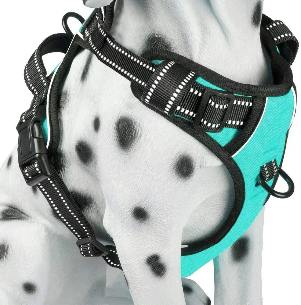Poypet No Pull Dog Harness Medium, Reflective Vest with Front Clip & Handle | Easy On/Off, No Choke, Adjustable, 2 Leash D-Rings, Soft Padded, Breathable, Oxford, for Walking Training, M, Mint Blue PoyPet