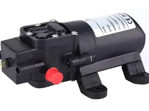 Diaphragm Water Pump, Self-Priming Pressure Pump 100 PSI 4-6 L/min, Double Thread Smart Switch for RV, Caravan, Boat, Garden, Agricultural Spraying