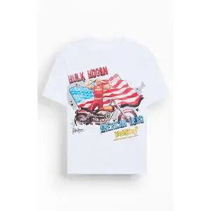 PacSun Men's WWE Hulk American Hero T-Shirt - Multicolor