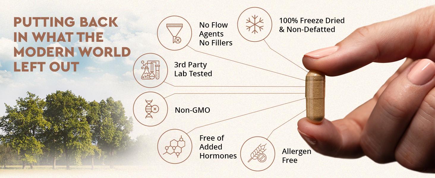 Ancestral Supplements Grass-Fed Beef Liver Capsules – Nutrient-Dense, Freeze-Dried, 180 Count