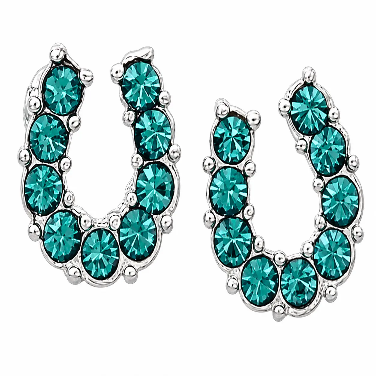 AWST Int'l Rhinestone Horseshoe Earrings w/Horse Head Gift Box - Aqua