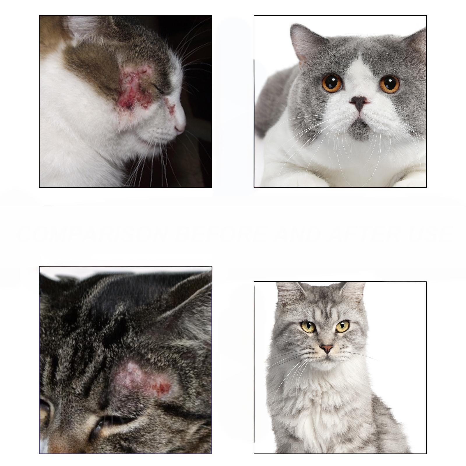 Pet Antibacterial Spray - Skin Care for Cats and Dogs - Skin Itching Repair Spray