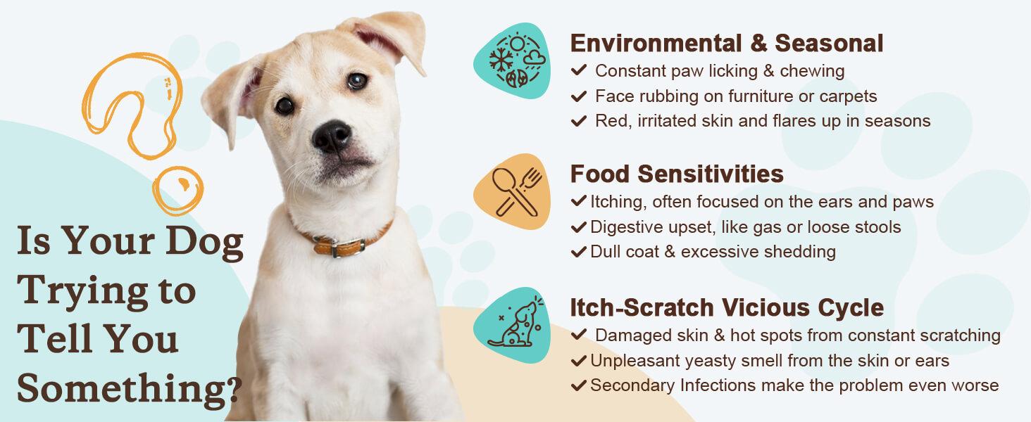 NATURE TARGET Dog Allergy Relief Freeze Dried Chews, with Probiotics, Colostrum for Immune Health, Anti Itch & Seasonal Allergies & Scratching, Omega 3 for Skin & Coat Health, Pawlicking, Hot Spots NATURE TARGET Dog Allergy Relief Freeze Dried Chews, with Probiotics, Colostrum for Immune Health, Anti Itch & Seasonal Allergies & Scratching, Omega 3 for Skin & Coat Health, Pawlicking, Hot Spots