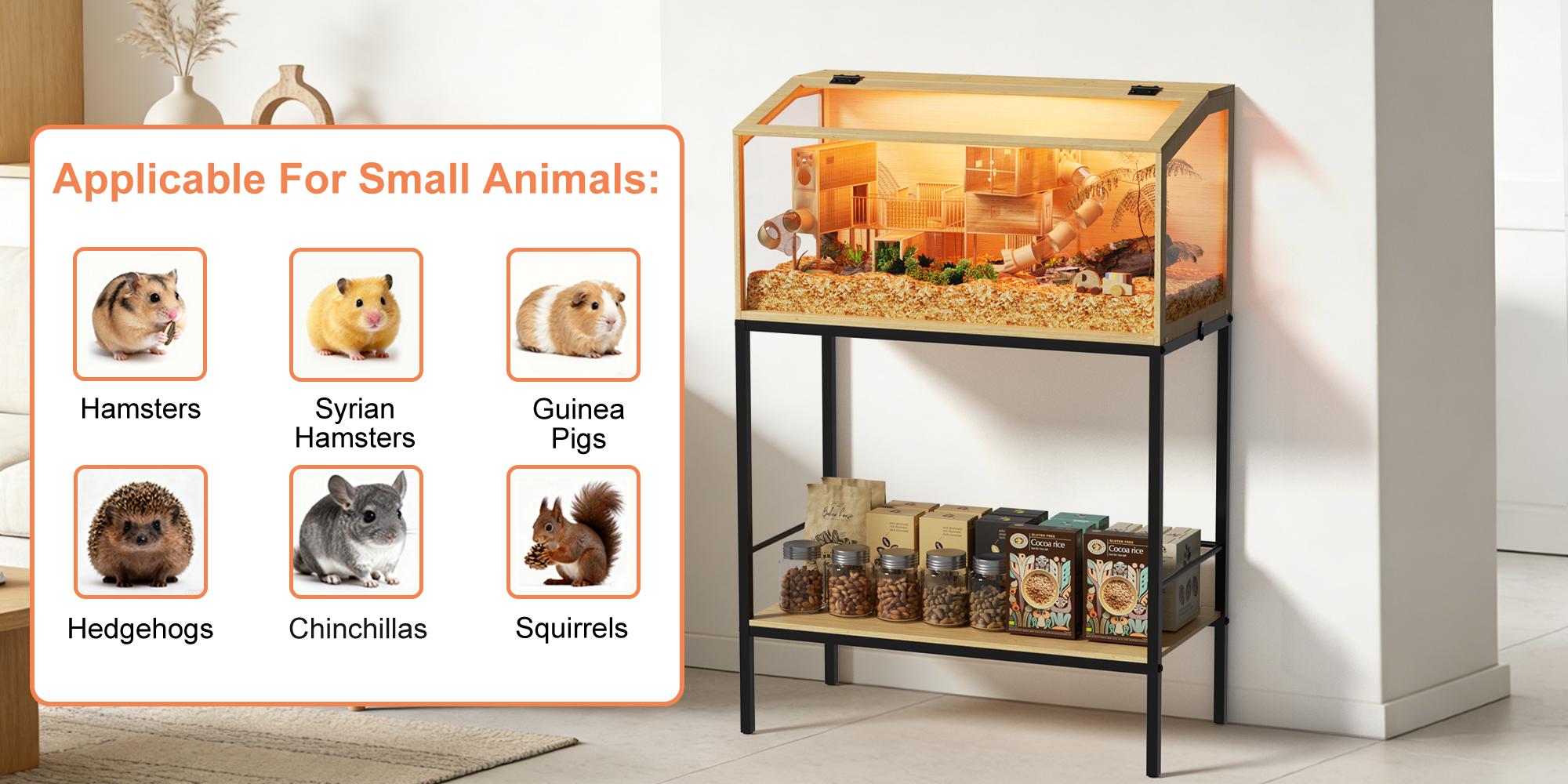 Bingopaw Modern Hamster Cage with Storage Shelf and LED Light, Chewproof Glass Hamster Cage, Clear Tempered Glass Modern Habitat with Top Opening Wide 31.5” (Excluding Interior Decor)