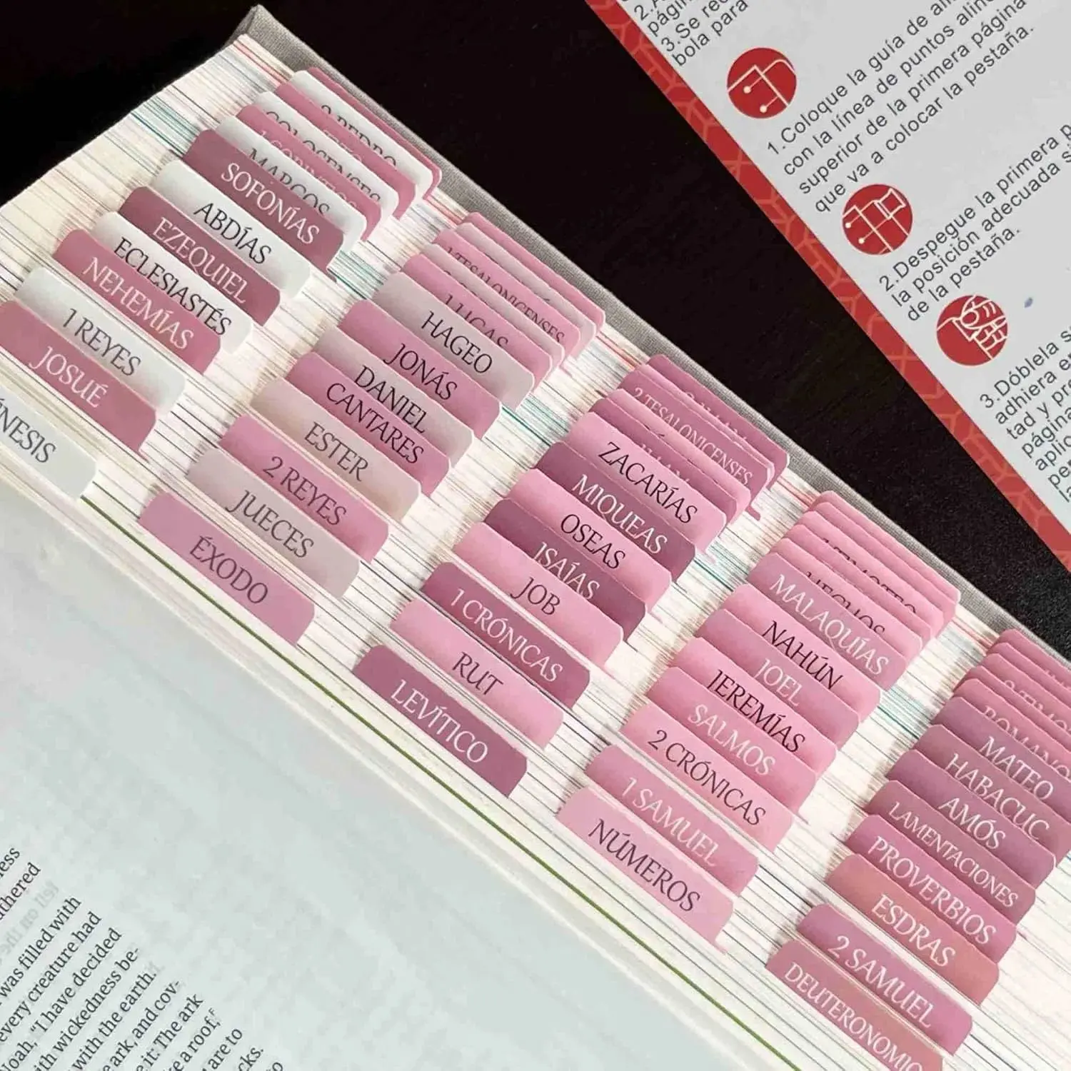 Catholic Reposition Large Text Bible Tabs, Catholic Bible Stickers for Women and Men, Easy to Read and Apply Bible Journaling Tabs