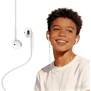2 Pack Type C Headphones Wired for  15 16 17 Pro Max, USB C Earphones with Microphone & Remote Noise Cancelling Earbuds for  15 Pro Max, iPad 2Gen