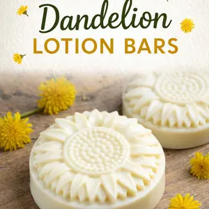 Dandelion Lotion Bars Dandelion Lotion Bars