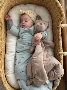 Long Sleeve Transitional Swaddle Sack - Woof / 2.5 TOG