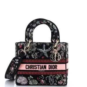 Pre-owned Dior Canvas Plain Top Handle Bags Christian Lady D Lite Bag Embroidered Canvas Medium by Rebag