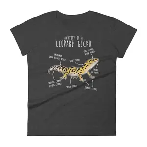 Leopard Gecko Shirt, Women, Men Tshirt, Pet Reptile Lover Gift, Funny Lizard T-Shirt, Cute Gecko Tee, Anatomy, Mom Dad, Herpetologist Animal