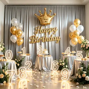 0-9 Digit Warm Light Neon Sign USB Powered with Dimmer for Anniversary Celebrations Bars Homes Clubs Weddings Birthdays Commemorative Occasions outdoorfun