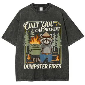 Only You Can Prevent Dumpster Fires Comfort Colors Shirt,Funny Racoon washed tshirt,Office Humo Gift for Coworker, Sarcastic Humor Tee