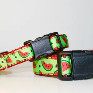 Watermelon Dog Collar