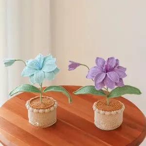 crochet Amaryllis, crochet flower in pot, housewarming gift, desk decoration, room decoration, handmade flower, gift for her