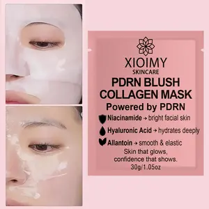 Salmon Dna & Niacinamide Moisturizing Mask, Deep Hydration, Smooth Skin, Brighten Complexion, Face Care, Gel Mask, 1pc/3pcs/5pcs/8pcs/10pcs